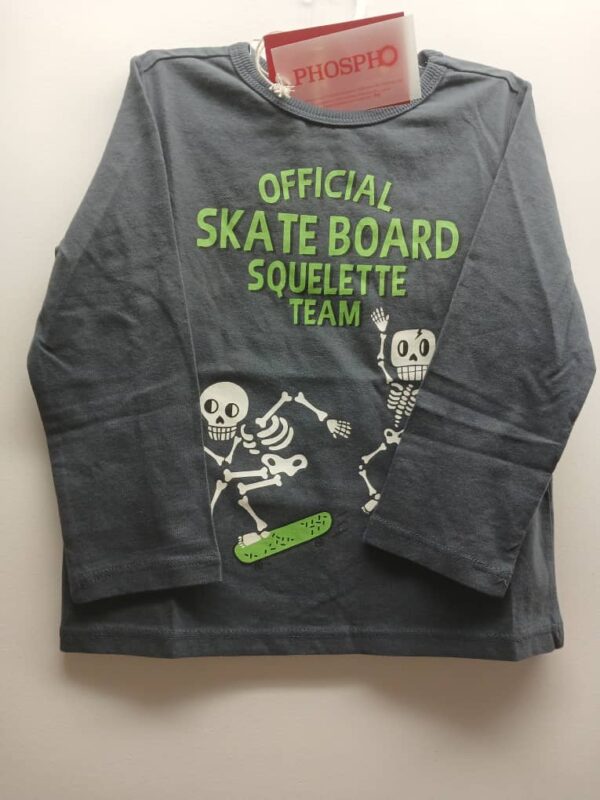 T-Shirt garçon- Gris à Dessins- Manches longues-2 ans